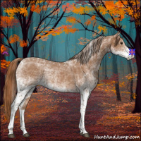 Horse Color:White Spotted Chestnut Tobiano 