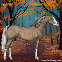 Horse Color:Chocolate Palomino Roan Sabino Splash 
