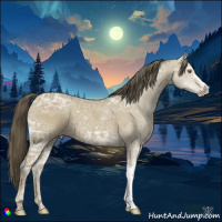 Horse Color:Classic Cream Champagne Ice 