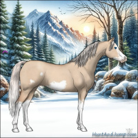 Horse Color:Silver Classic Champagne Dun Splash Frame 