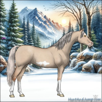 Horse Color:Silver Classic Champagne Dun Splash Frame