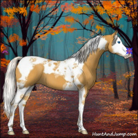 Horse Color:Silver Buckskin Splash Tobiano 