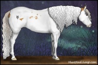 Horse Color:Silver Buckskin Splash Tobiano