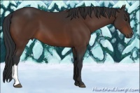 Horse Color:Brown 