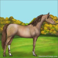 Horse Color:Brown Pearl 