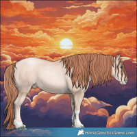 Horse Color:Chocolate Amber Champagne Pearl Mushroom Tobiano Rabicano 