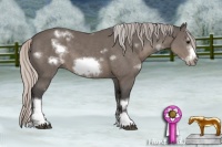 Horse Color:White Spotted Silver Black Frame 