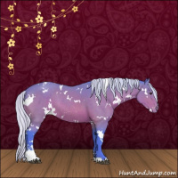 Horse Color:Watercolor White Spotted Silver Brown Sabino Appaloosa Rabicano