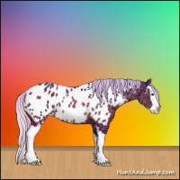Horse Color:Watercolor White Spotted Silver Brown Ice Sabino Splash Appaloosa 