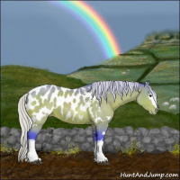 Horse Color:Watercolor White Spotted Silver Brown Appaloosa 