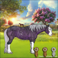 Horse Color:Watercolor Silver Brown Ice Sabino Splash Rabicano 