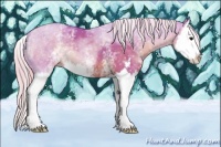 Horse Color:Watercolor White Spotted Silver Black Sabino Splash 