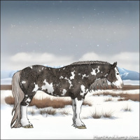Horse Color:White Spotted Silver Black Ice Sabino Splash 