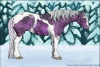 Horse Color:Watercolor White Spotted Silver Brown Ice Tobiano 