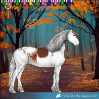 Horse Color:White Spotted Silver Brown Tobiano