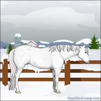 Horse Color:Gray Watercolor White Spotted Silver Sable Champagne Chinchilla Splash Tobiano 