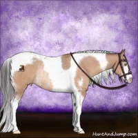 Horse Color:Sable Champagne Sabino Tobiano Rabicano 