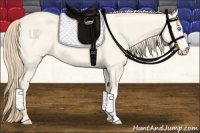 Horse Color:Perlino Roan Dun