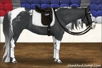 Horse Color:Black Splash Tobiano