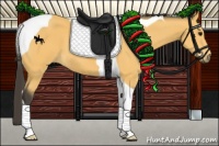 Horse Color:Buckskin Tobiano 