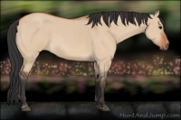 Horse Color:Bay Roan Dun 
