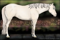 Horse Color:Gold Cream Champagne Pearl