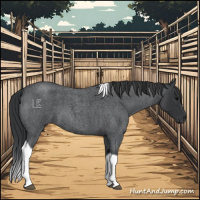 Horse Color:Blue Roan Tobiano 