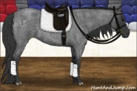 Horse Color:Blue Roan 