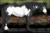 Horse Color:Black Frame 