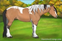 Horse Color:Bay Sabino Tobiano