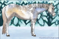 Horse Color:Chocolate Palomino Ice Onyx Tobiano 