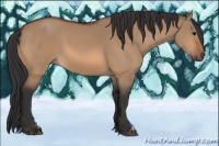 Horse Color:Bay Dun