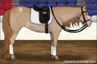 Horse Color:Chestnut Varnish 