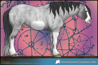 Horse Color:Blue Roan Splash Frame 