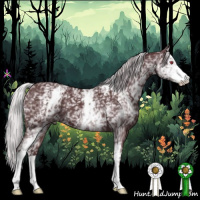 Horse Color:White Spotted Chocolate Silver Black Chinchilla 
