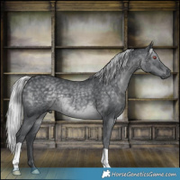 Horse Color:Silver Black Chinchilla 