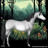 Horse Color:Bay Chinchilla