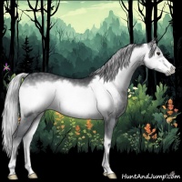 Horse Color:Silver Blue Onyx Chinchilla Frame