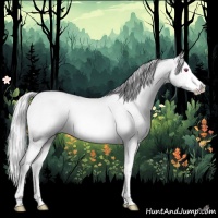 Horse Color:Silver Bay Chinchilla Sabino Splash