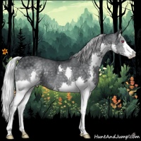 Horse Color:Silver Black Chinchilla Splash Rabicano 