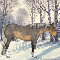 Horse Color:Silver Smoky Blue Roan 