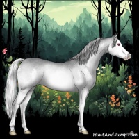 Horse Color:Silver Brown Chinchilla Splash Rabicano 
