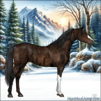 Horse Color:Bay Ice 