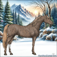 Horse Color:Chestnut Ice 
