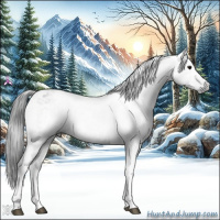 Horse Color:Gray Grullo Ice Tobiano