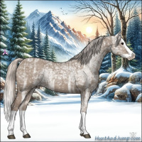 Horse Color:Silver Grullo Ice Splash