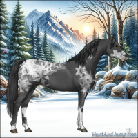 Horse Color:Blue Ice Roan Tobiano 