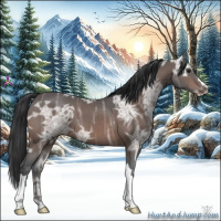 Horse Color:Brown Ice 