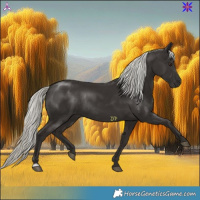 Horse Color:Liver Chestnut Mushroom Rabicano 