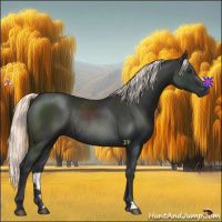 Horse Color:Liver Chestnut Mushroom Rabicano